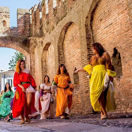 The History * Montagnana (Veneto)
