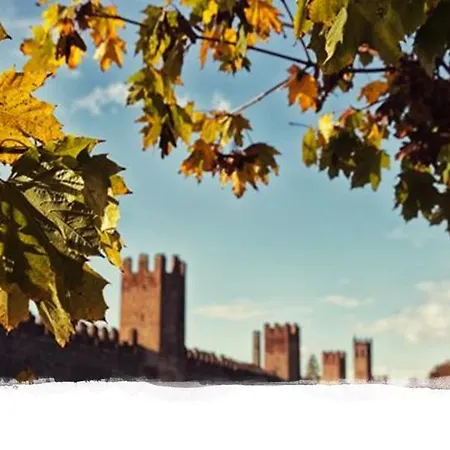 The History * Montagnana (Veneto)